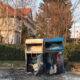 Frühjahrsputz Engelsdorf